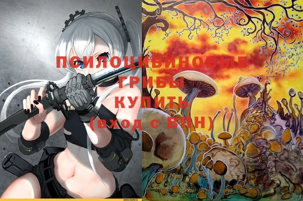 дурь Баксан