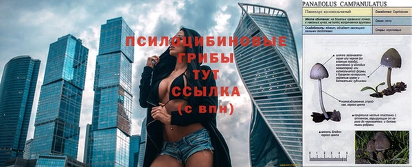 дурь Баксан