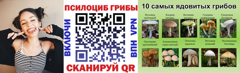 сайты даркнета официальный сайт  Нязепетровск  Галлюциногенные грибы мицелий  kraken зеркало 